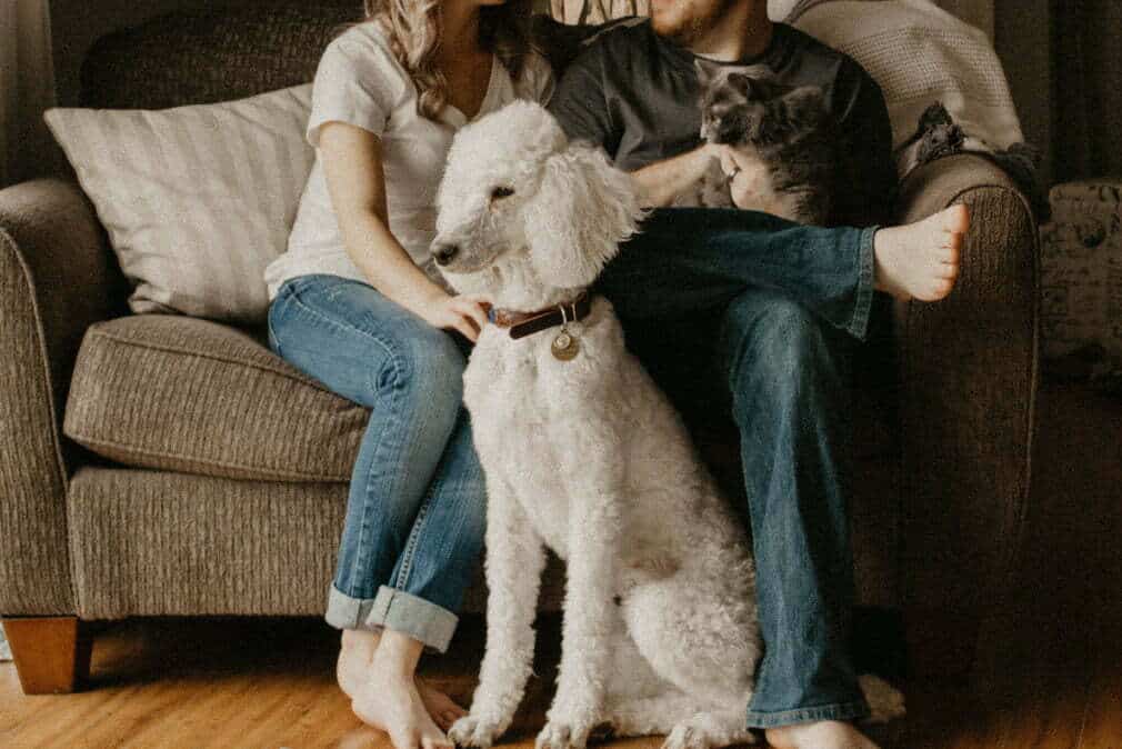 There are no such things as Bigfoot, the Tooth Fairy or 2% 30-year Fixed Rate